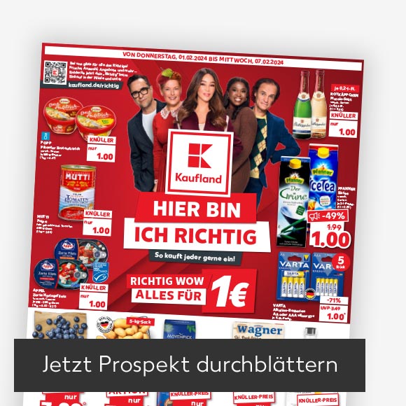 Abbildung: Titelbild Kaufland-Prospekt; Button: Jetzt Prospekt durchblättern