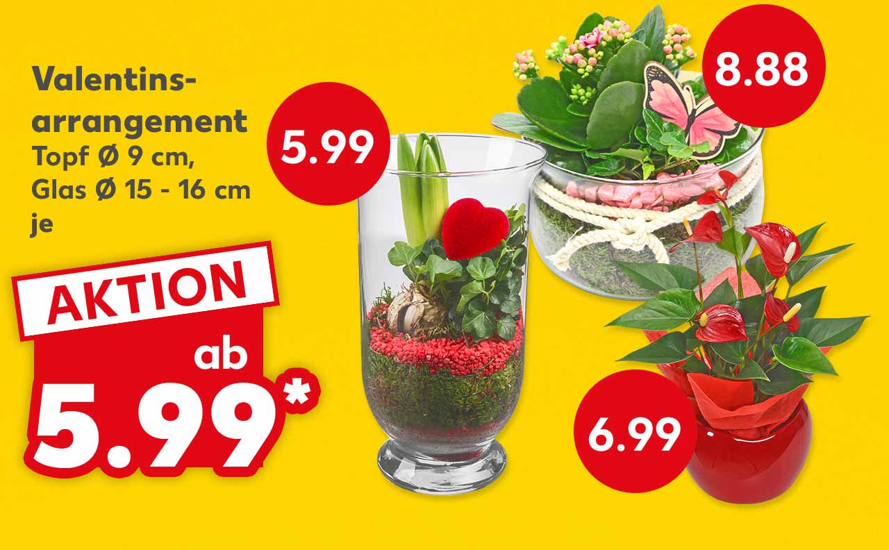 Valentinsarrangement, versch. Sorten und Ausführungen, Topf Ø 9 cm, Glas Ø 15 - 16 cm, je ab 5.99 Euro*; Preise an verschiedenen Sorten und Ausführungen: 5.99 Euro; 6.99 Euro; 8.88 Euro