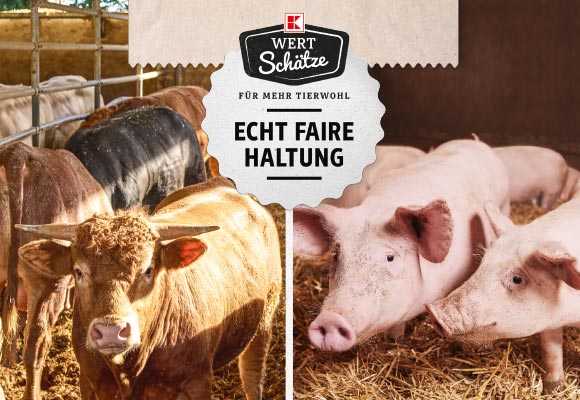 Logo: K-Wertschätze, Für mehr Tierwohl, Echt faire Haltung; Abbildung: Kühe und Schweine in einem Stall