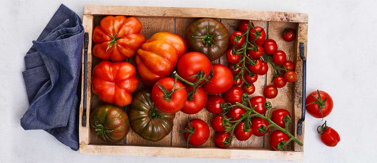 Abbildung: Versch. Sorten Tomaten in einer Holzkiste