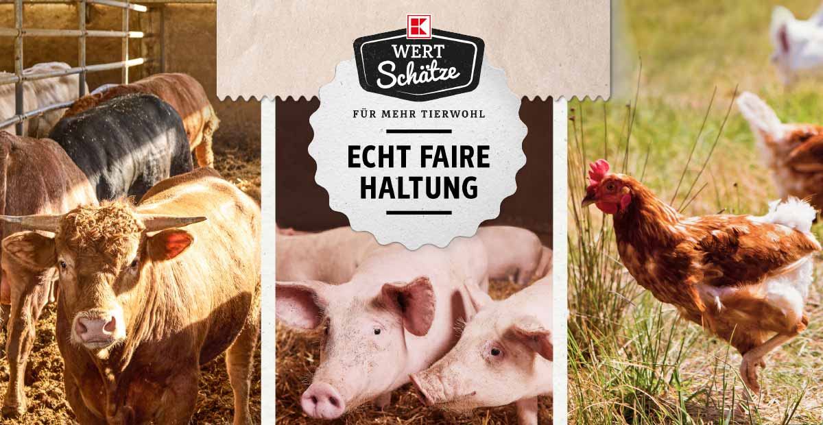 Schriftzug und Logo: K-Wertschätze, Für mehr Tierwohl, echt faire Haltung; Abbildung: Kühe, Schweine und Hühner