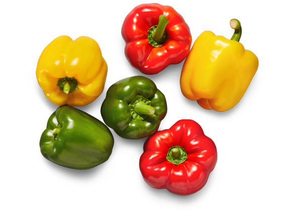 Span./niederl. Paprika, gemischt in den Farben Rot, Gelb und Grün