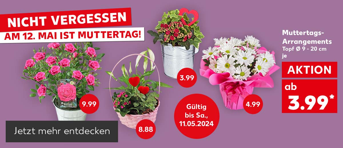 Schriftzug: Nicht vergessen, Am 12. Mai ist Muttertag!; Abbildung: Muttertags-Arrangements, Topf ∅ 9 - 20 cm, je ab 3.99 Euro*; Störer an den Muttertags-Arrangements mit Preisen; Störer: Gültig bis Sa., 11.05.2024; Button: Jetzt mehr entdecken
