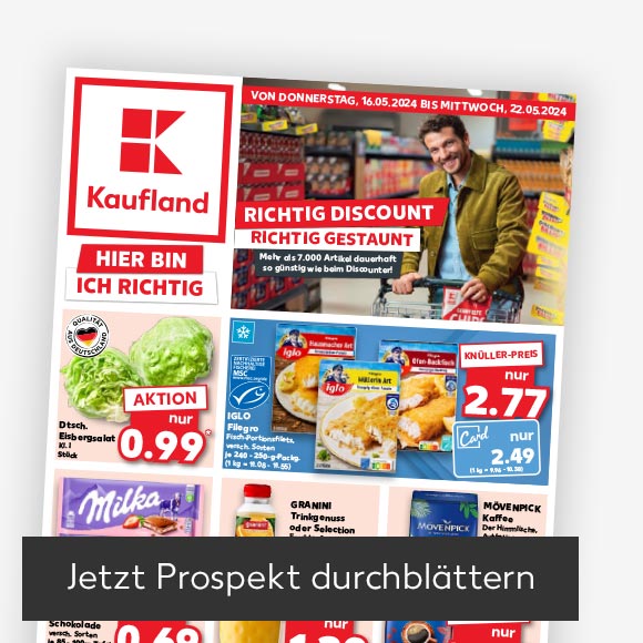 Abbildung: Titelbild Kaufland-Prospekt; Button: Jetzt Prospekt durchblättern