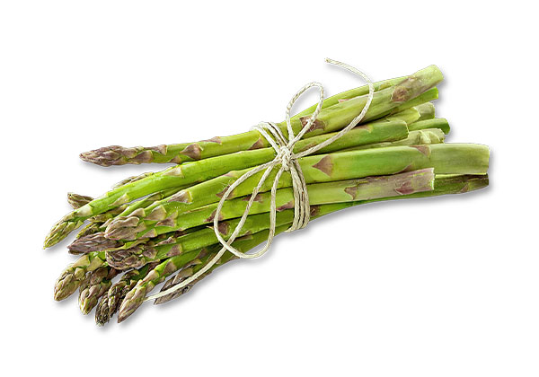 Span./ital. Spargel