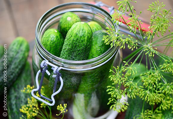 Abbildung: Eingemachte Gurke im Glas; © photocrew - stock.adobe.com