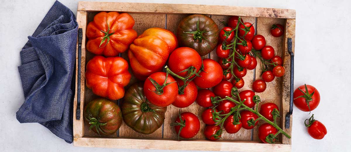 Abbildung: Verschiedene Sorten Tomaten in einer Holzkiste