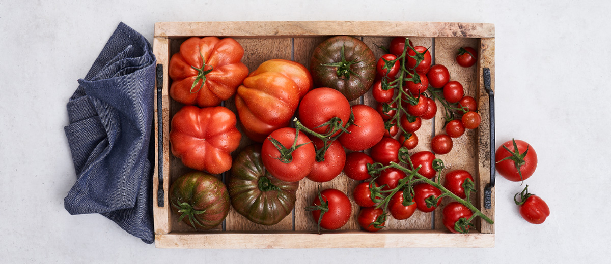 Abbildung: Verschiedene Sorten Tomaten in einer Holzkiste