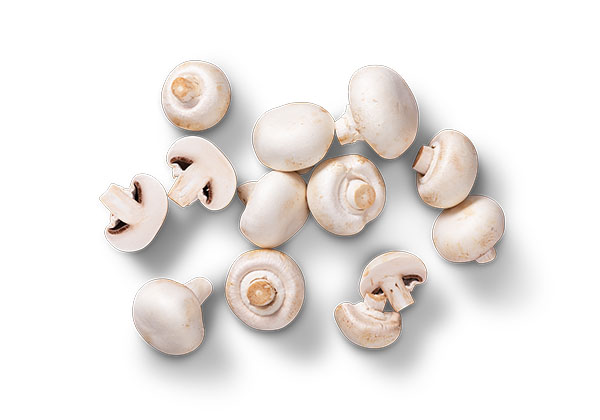 Poln./kroat. Kulturchampignons, weiß