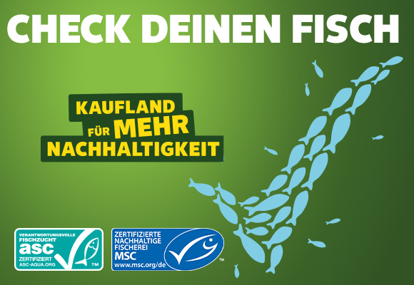 Schriftzug: Check deinen Fisch; Logo: Kaufland für mehr Nachhaltigkeit; Abbildung: Ein Haken dargestellt mit mehreren Fischen; Logo: asc-zertifizierte verantwortungsvolle Fischzucht; Logo: Msc-zertifizierte nachhaltige Fischerei