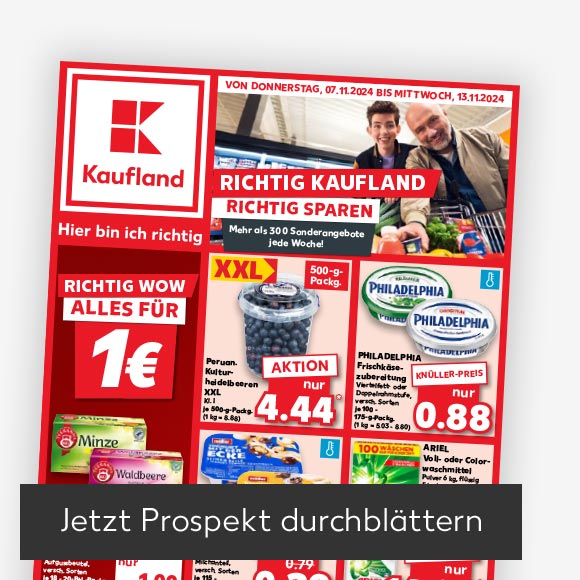 Abbildung: Titelbild Kaufland-Prospekt; Button: Jetzt Prospekt durchblättern