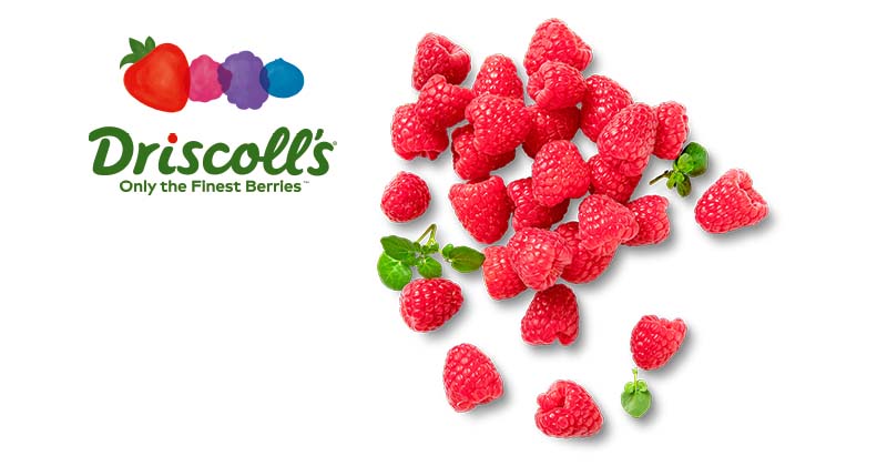 Portug./marokk. Himbeeren; Logo: Driscoll's