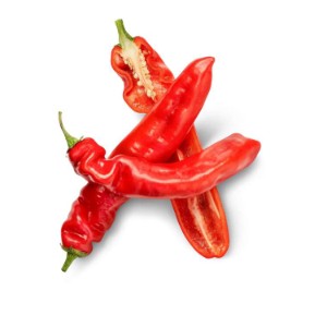 Paprika sladká