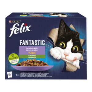 Felix - Fantastic / Sensation