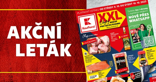Nejlepší cena pro Česko - Letní párty