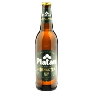 Platan 11 - Pivo