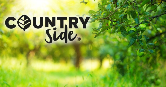 Countryside