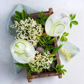 Gin Floral