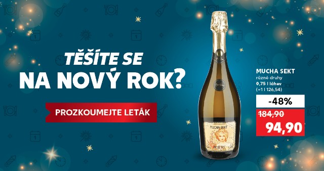 Těšíte se na Nový rok? Prozkoumejte leták.