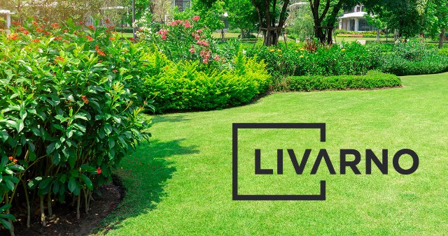 Livarno