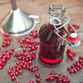Sirup z červeného rybízu