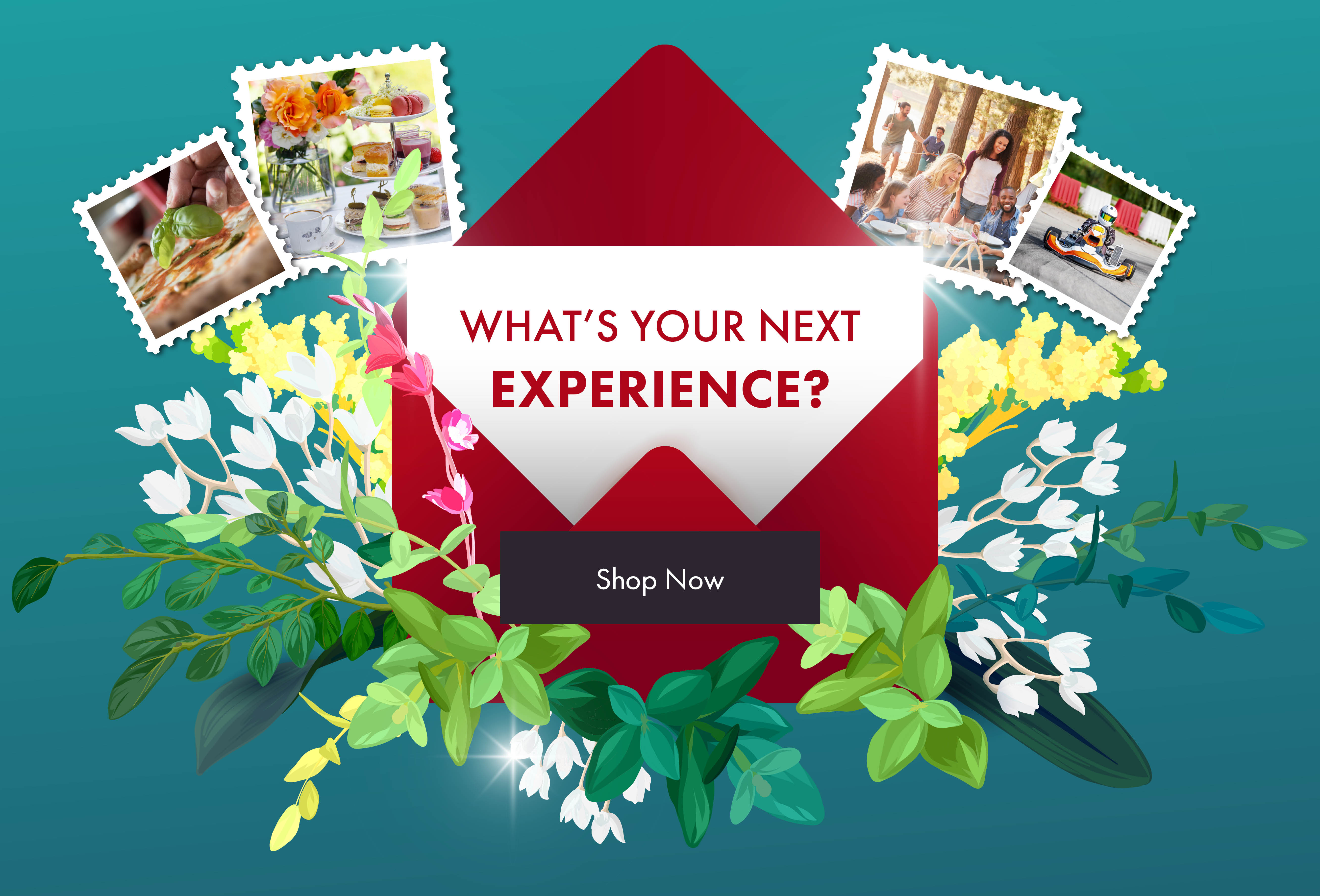 What's your next experience?