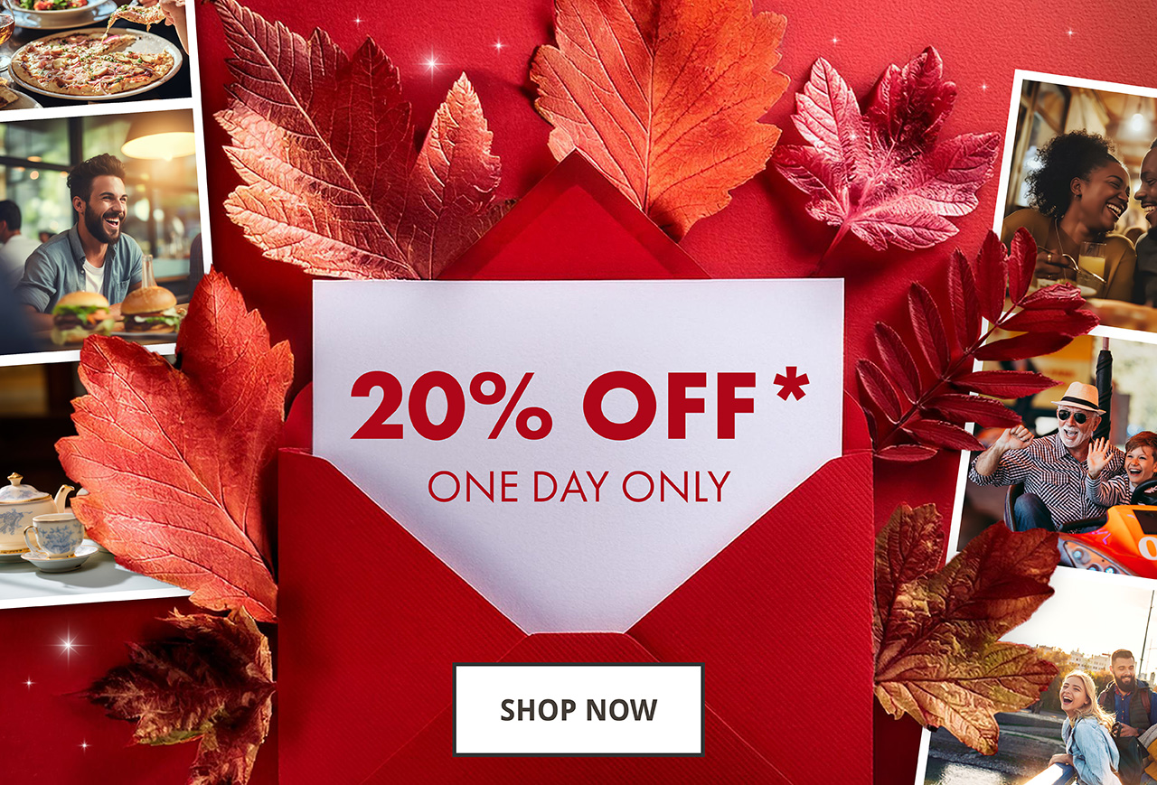 20% off one day only