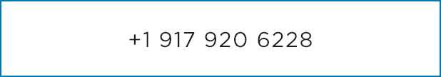 +1 917 920 6228