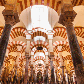 A EUROPEAN TOUR: If you are passionate about culture and enjoy exploring cities, we invite you to embark on a tour of Europe's most historic destinations. Choose from our charming hotels in Madrid, Lisbon, Rome and many more!