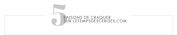 5 raisons de craquer sur letempsdescerises.com