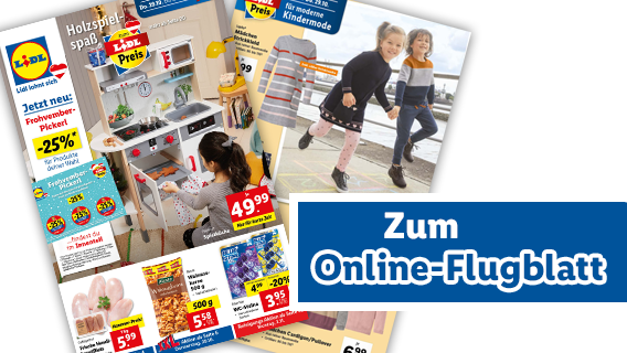 Online Flugblatt