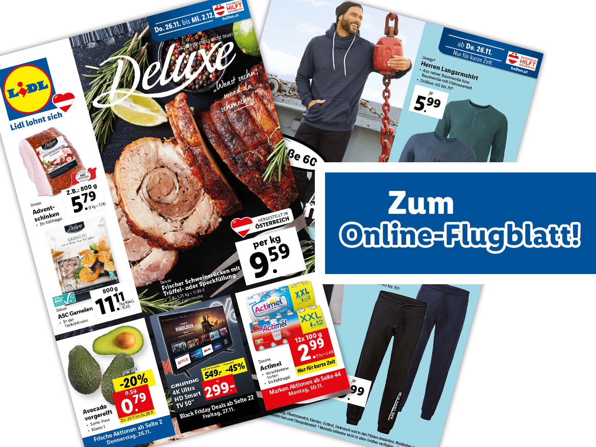 Online-Flugblatt