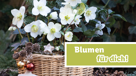 Blumen für dich