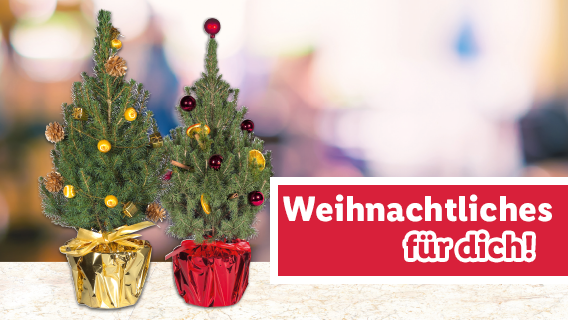 Weihnachtliches für dich