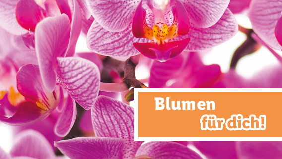 Blumen für dich