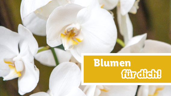Blumen für dich