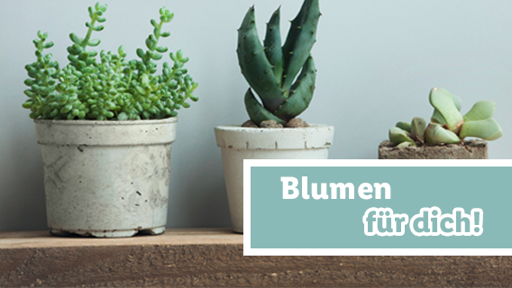 Blumen für dich