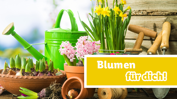 Blumen für dich