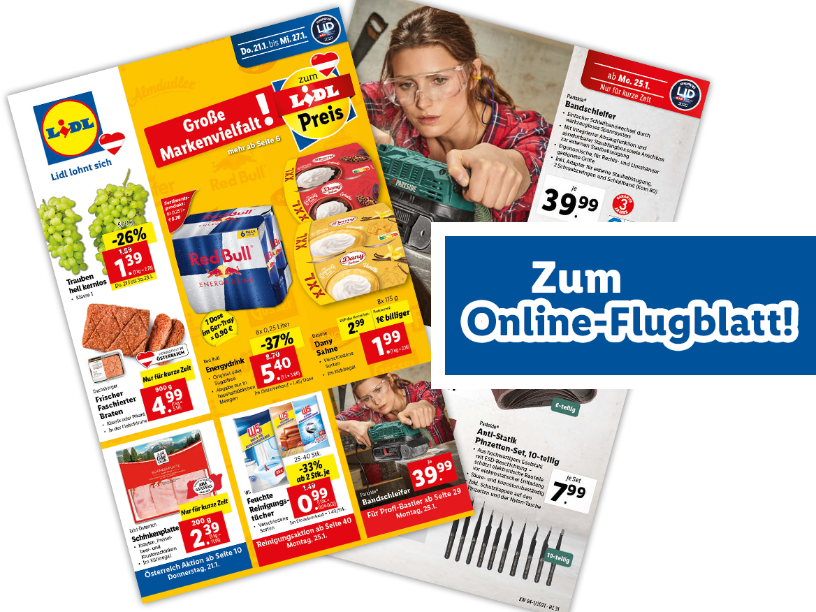 Online-Flugblatt