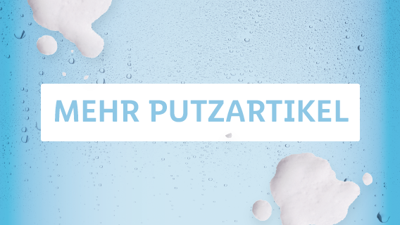 MEHR PUTZARTIKEL
