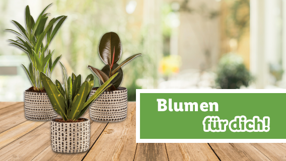 Blumen für dich