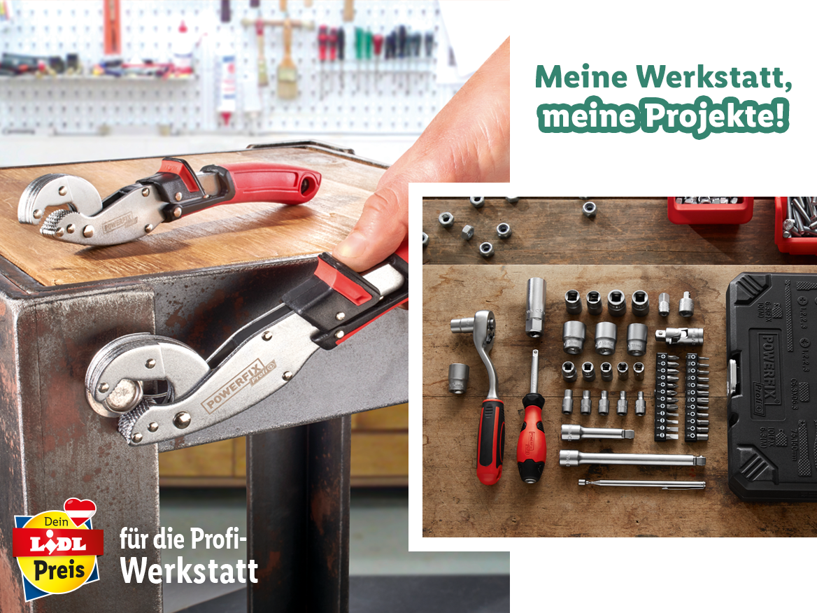 Profi-Werkstatt