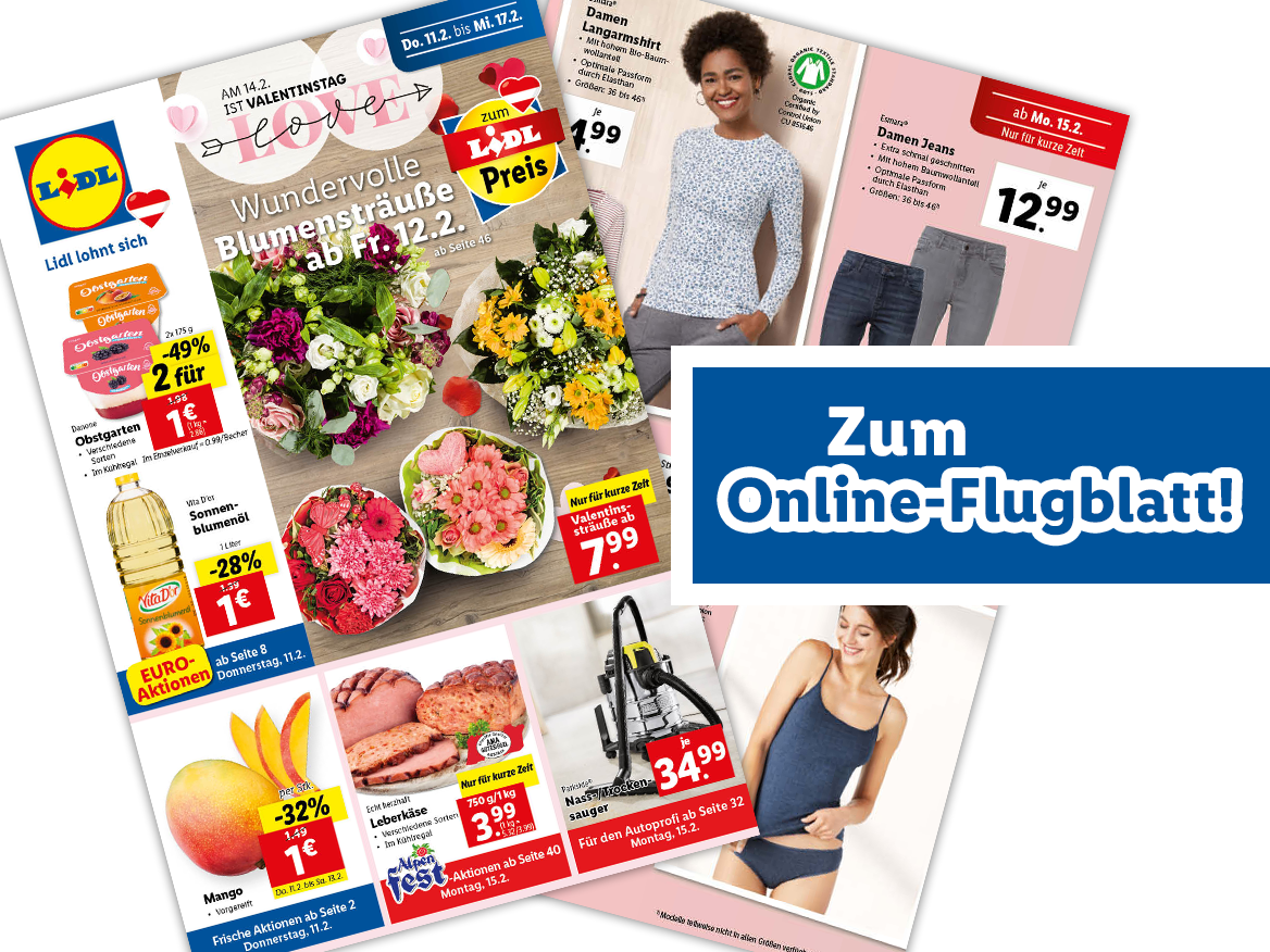 Online-Flugblatt