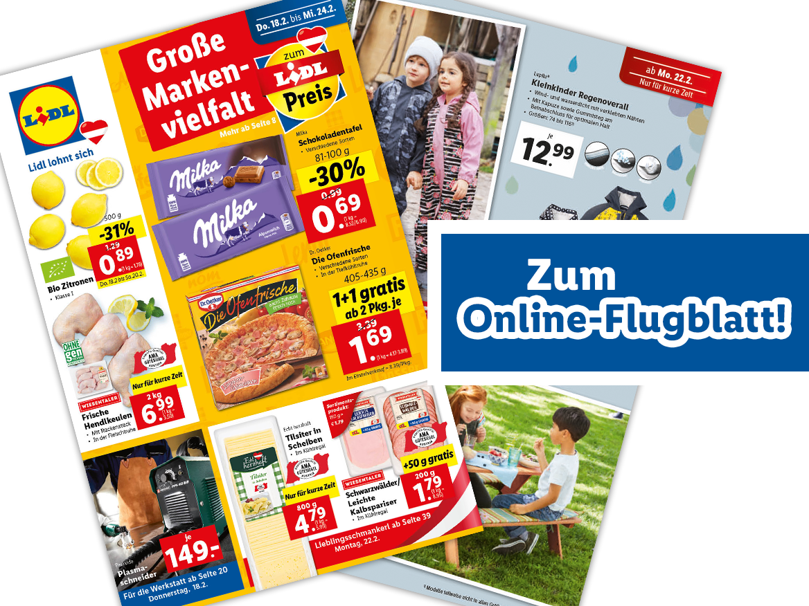 Online-Flugblatt