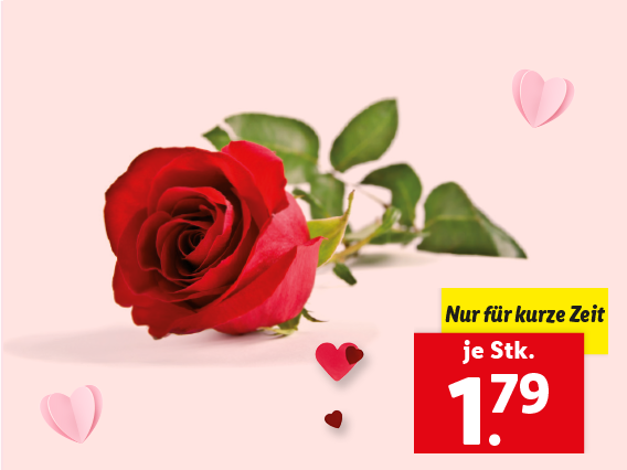 Langstielrose