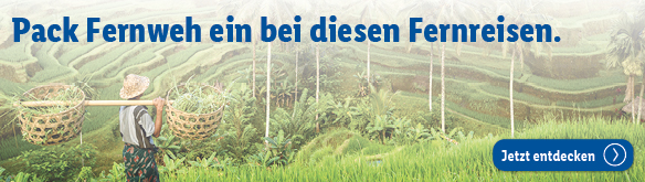 Fernreisen