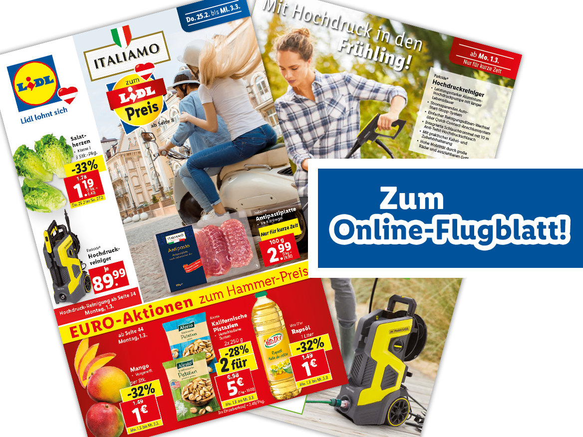Online-Flugblatt