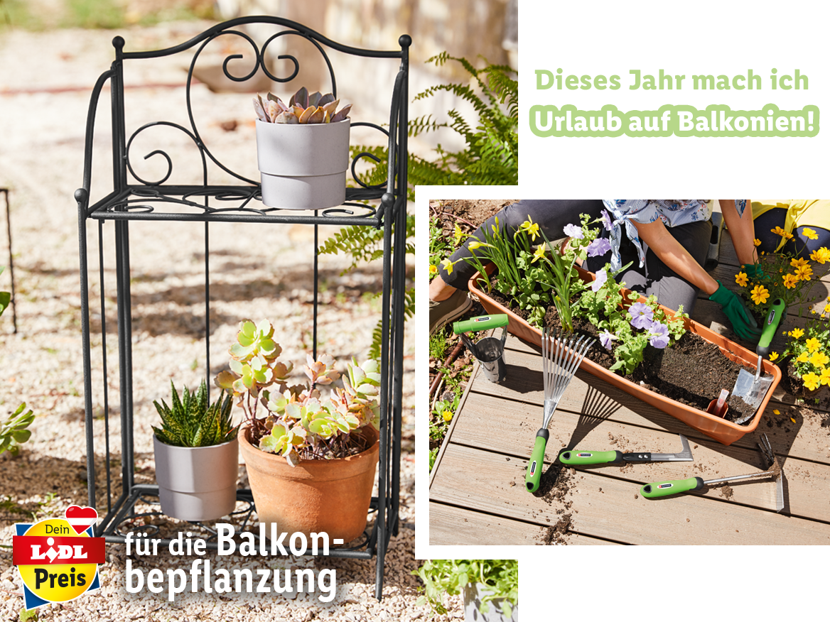 Balkonbepflanzung