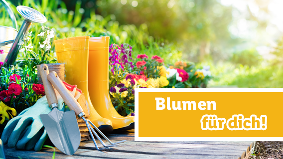 Blumen für dich