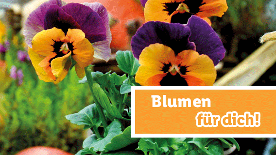 Blumen für dich